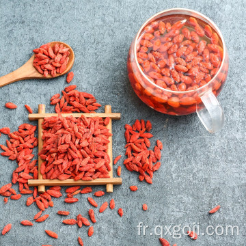 Lycium goji baie de goji bio pour la santé